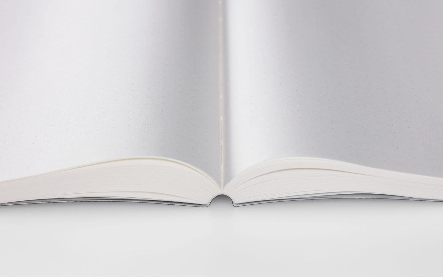 Editor's Series 365 Days Notebook Dotted
